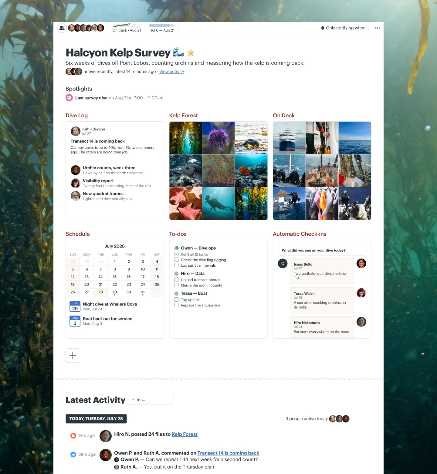 A marine research survey project in Basecamp with a Message Board, Docs & Files, To-dos, a Schedule, and Automatic Check-ins