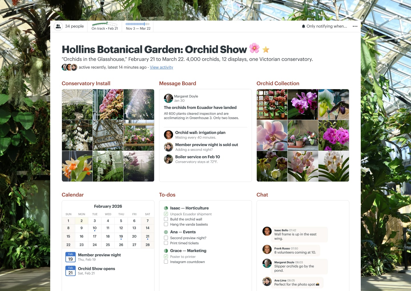 An orchid show project in Basecamp with a Message Board, Docs & Files, Chat, and Automatic Check-ins