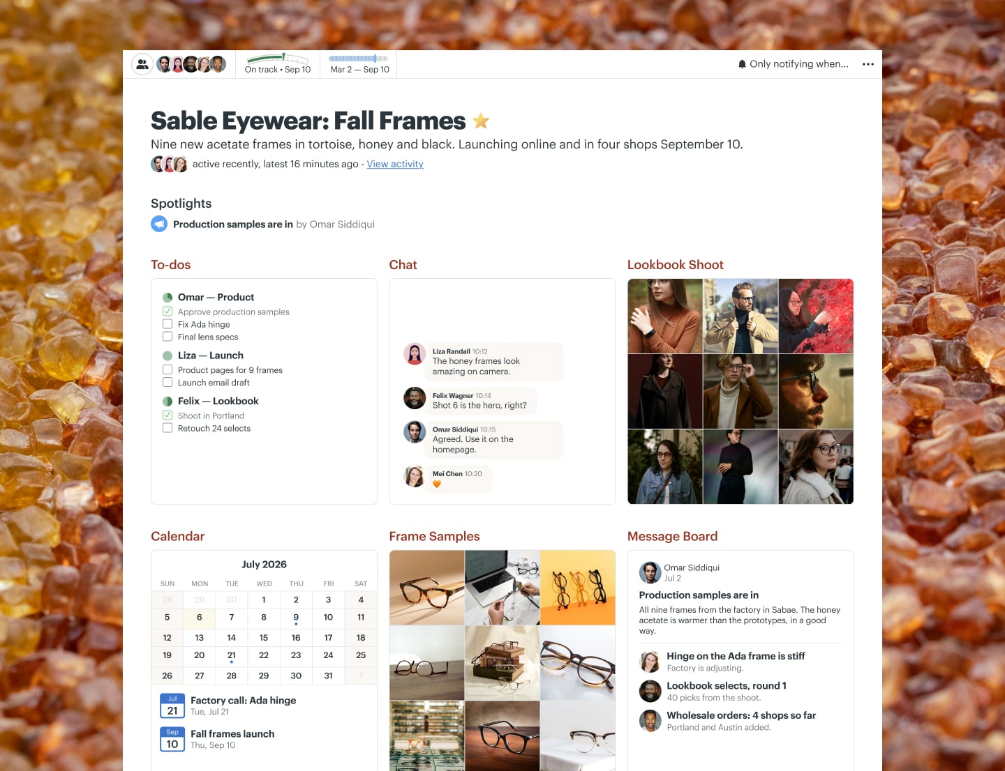 An eyewear collection project in Basecamp with a Message Board, Docs & Files, Chat, To-dos, and Email Forwards